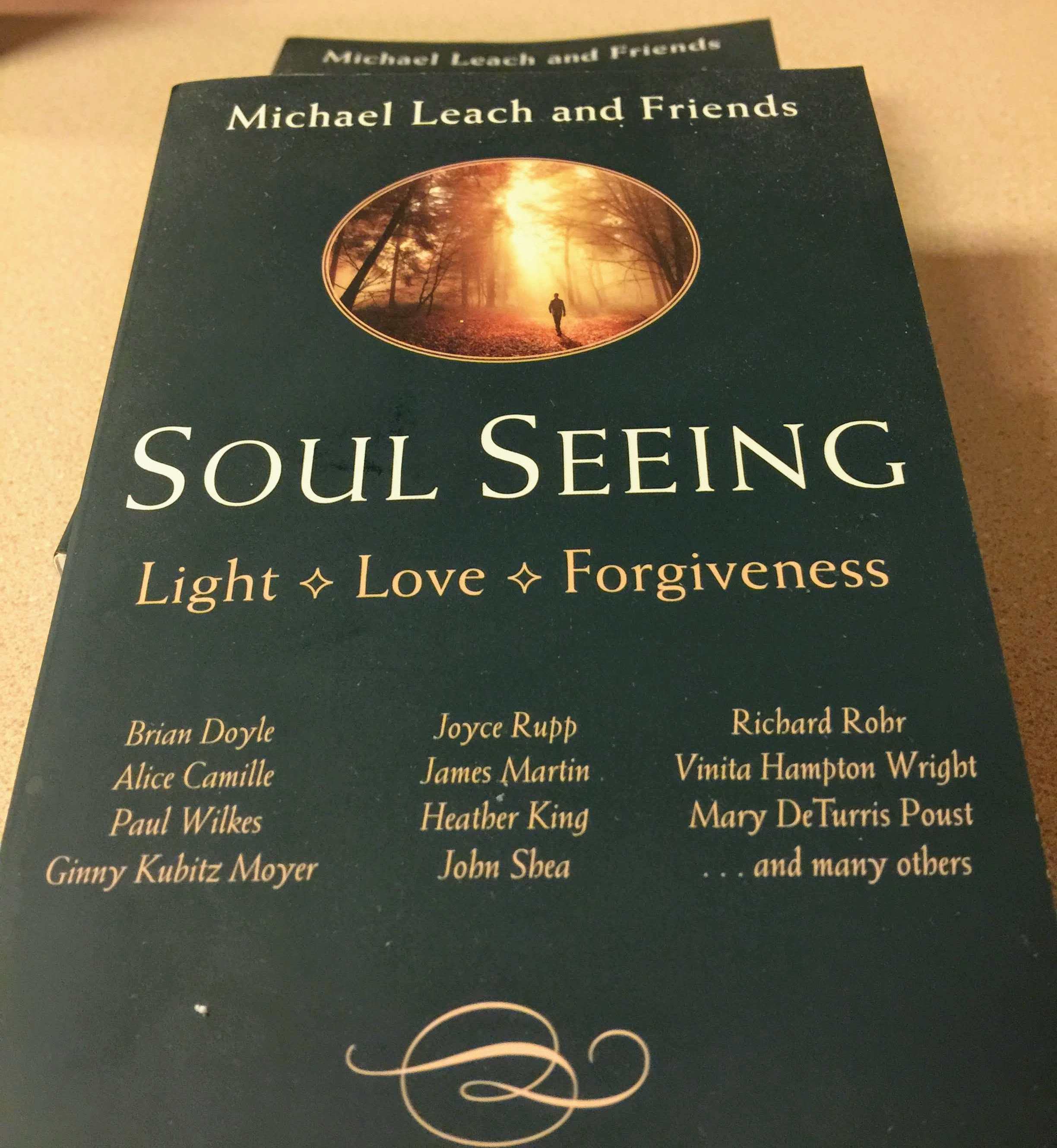 Soul Seeing book Nov 2018